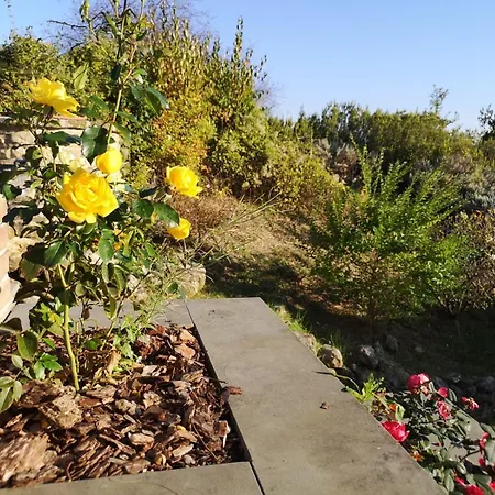 Tenuta Borgo San Michele Country house