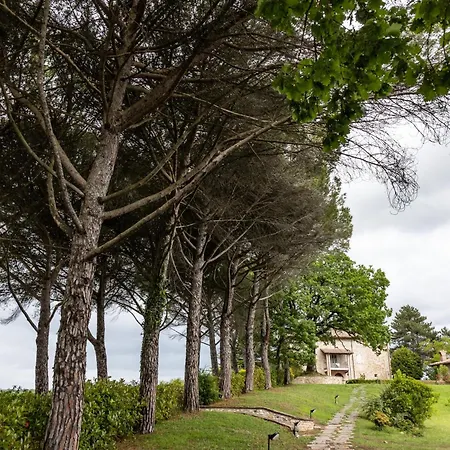 Tenuta Borgo San Michele