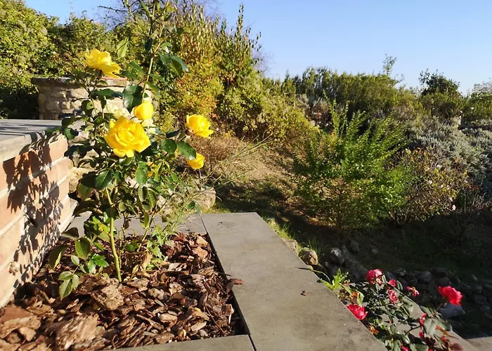 Tenuta Borgo San Michele Casa di campagna